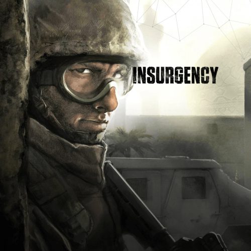 Insurgency