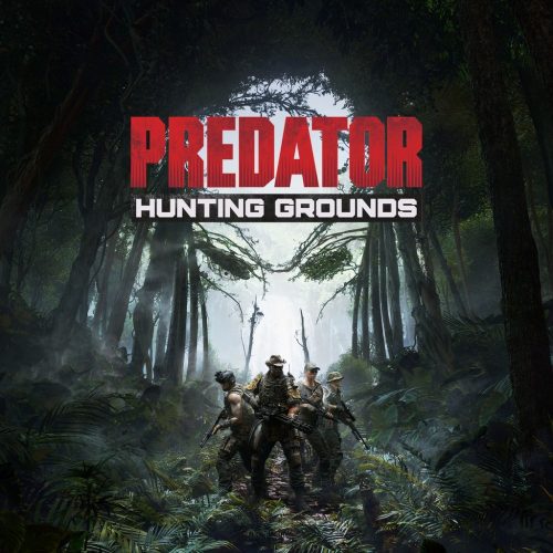 Predator: Hunting Grounds - Predator DLC Bundle