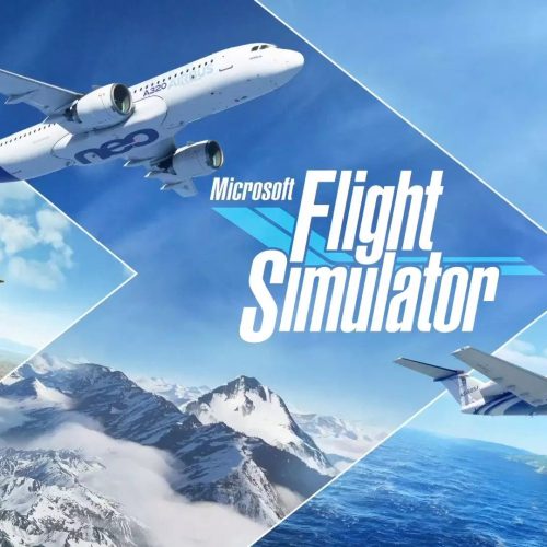 Microsoft Flight Simulator