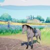 Horse Tales: Emerald Valley Ranch